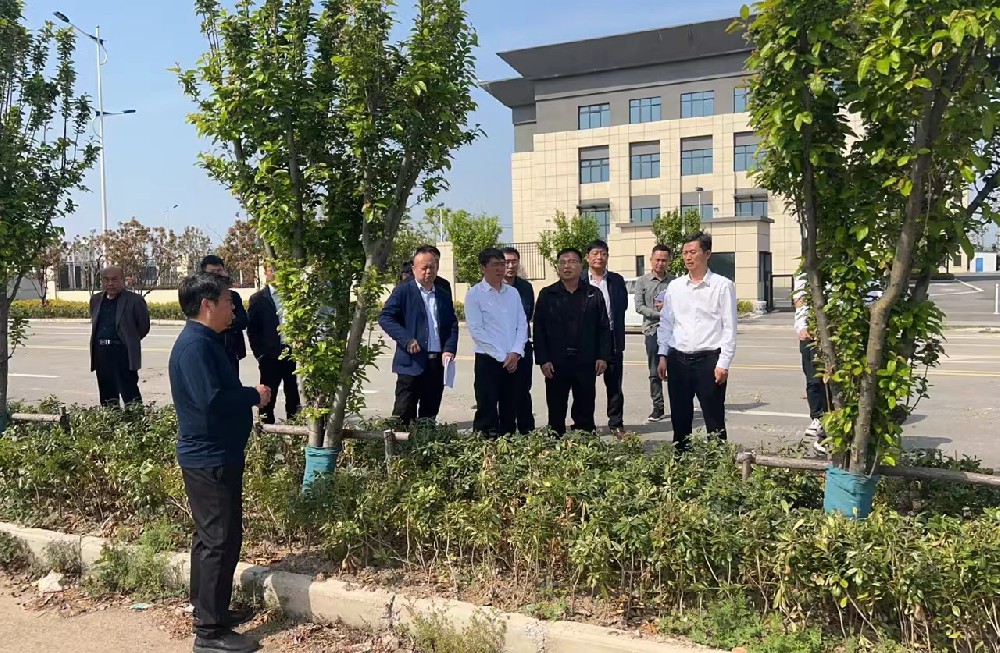 陈建华县长一行莅临安徽华东绿色能源集团有限公司废盐资源化利用项目现场调研指导